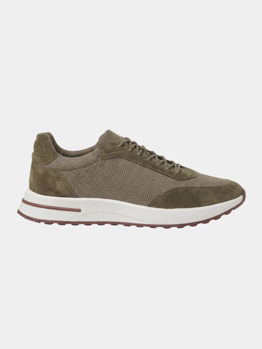 Olive Amalfi Trainer